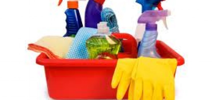 pub_assistance_menage